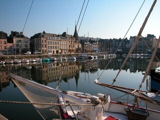 Casa per le vacanze Veulettes-sur-Mer Ambiente 19