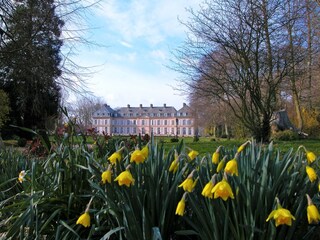 Casa per le vacanze Veulettes-sur-Mer Ambiente 17