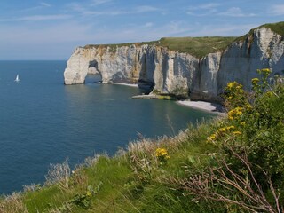 Casa per le vacanze Veulettes-sur-Mer Ambiente 20