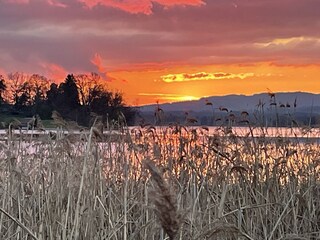 Appartamento per vacanze Seehausen am Staffelsee Ambiente 19