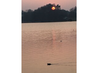 Appartamento per vacanze Seehausen am Staffelsee Ambiente 16