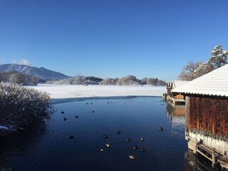 Vakantieappartement Seehausen am Staffelsee Omgeving 18