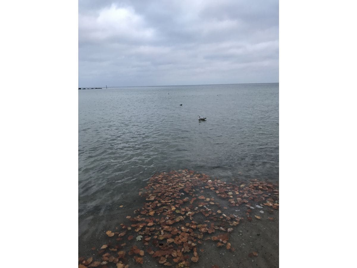 Herbst-Ostsee