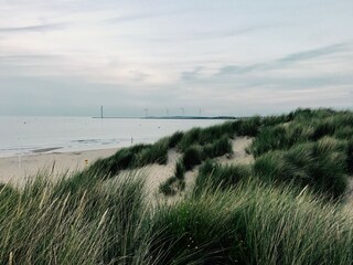 Vakantiehuis Kamperland Omgeving 26