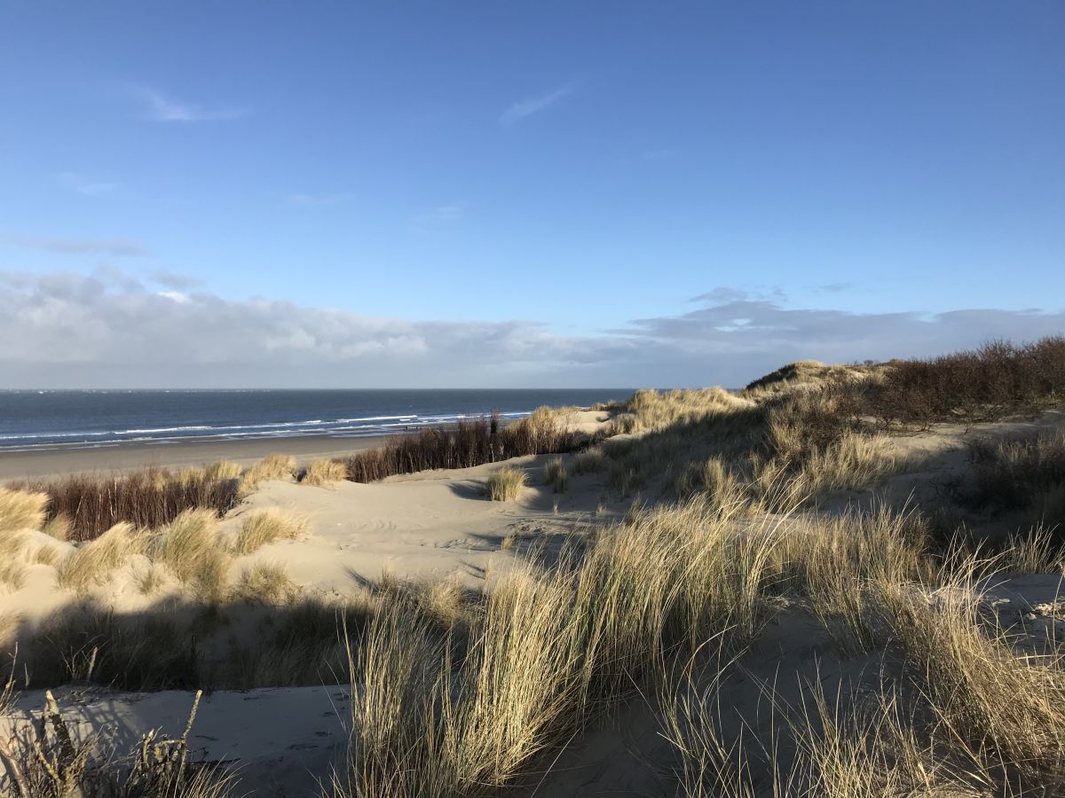 In den Dünen am Strand