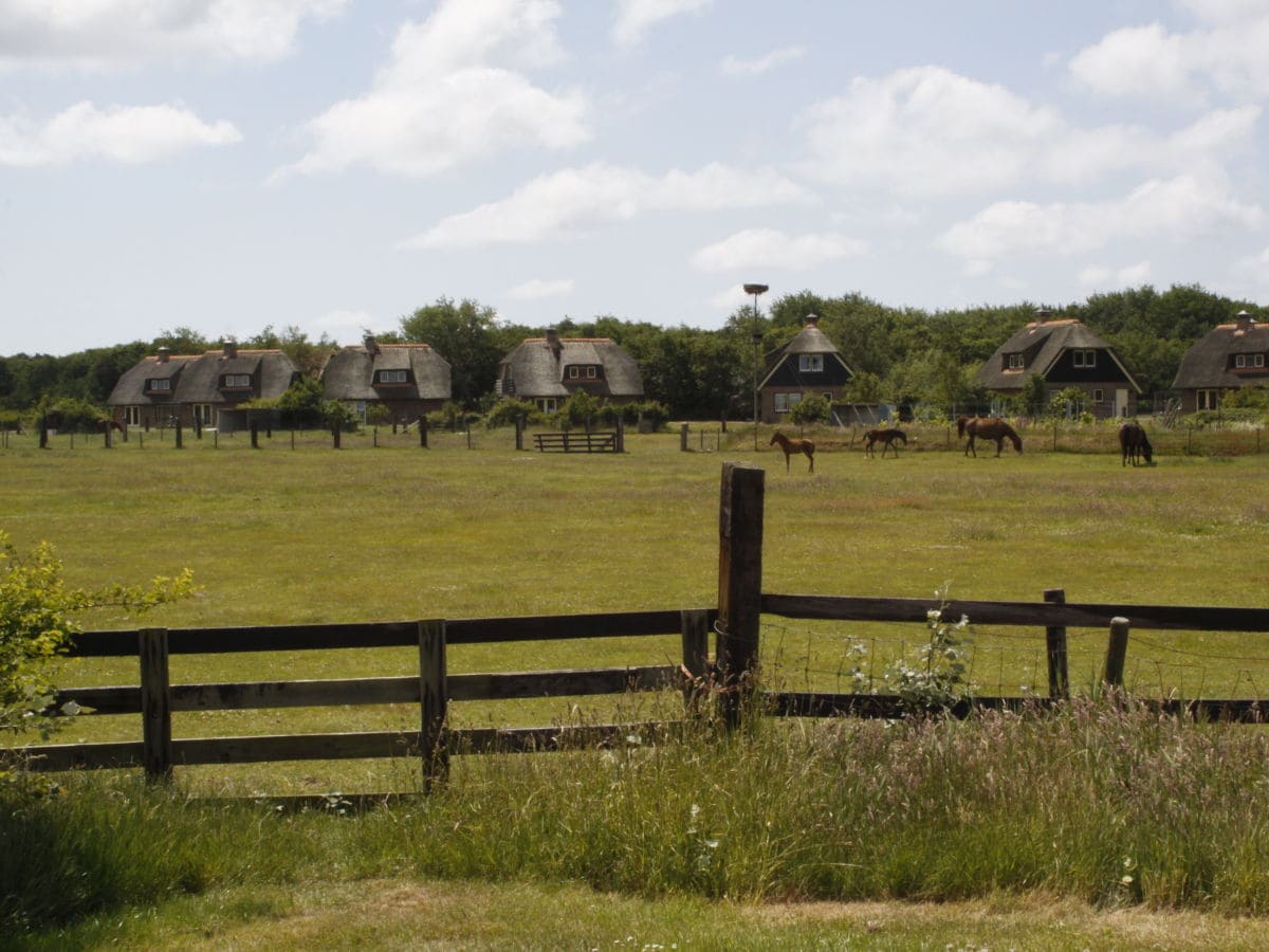 Umgebung Villenpark Het Buitenhof Watteninsel Texel