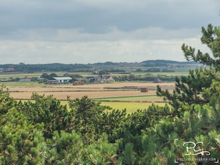 Landschaft Texel