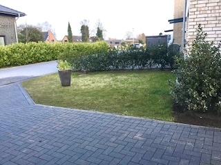 Vorgarten und Zufahrtsstrasse