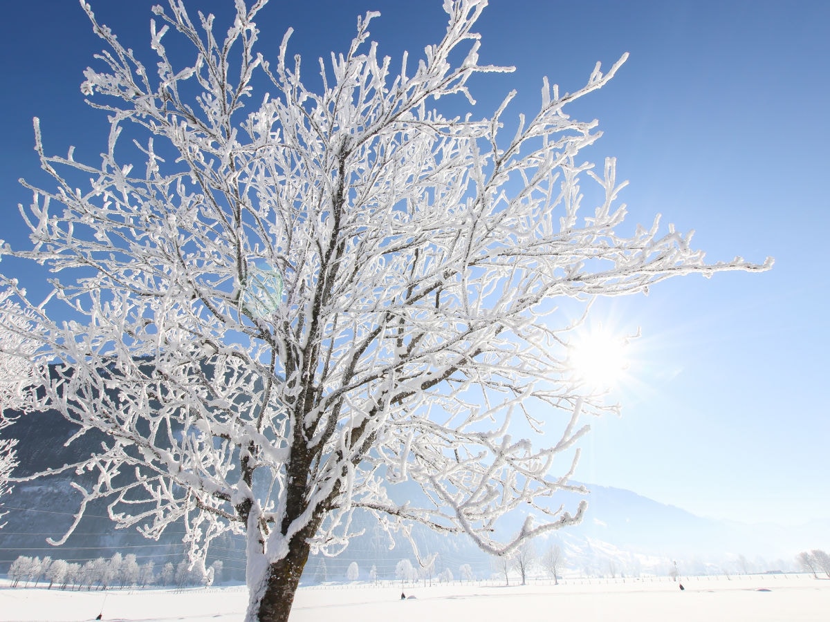 Winterwandern