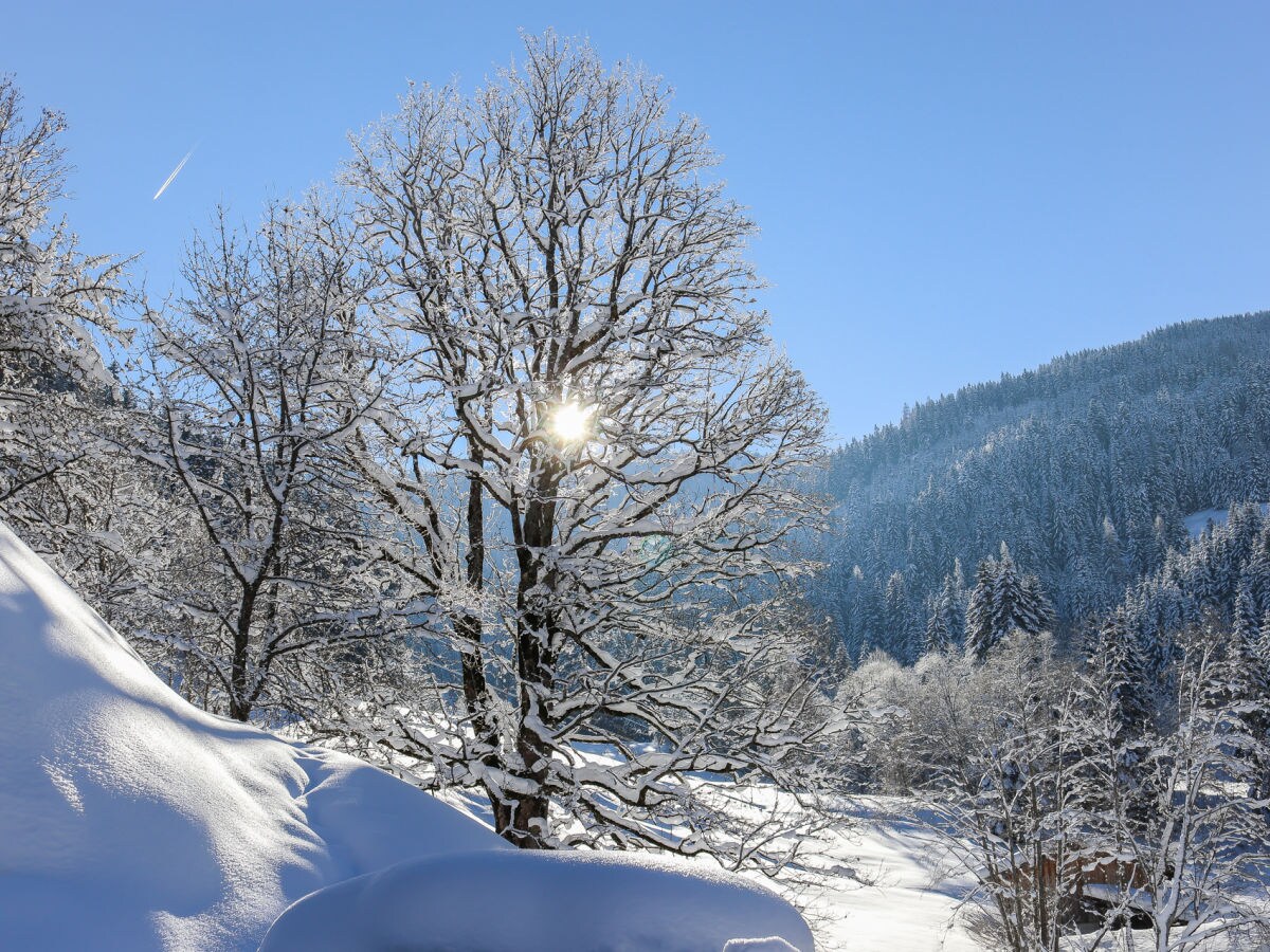 Langlaufen im Nationalpark Hohe Tauern