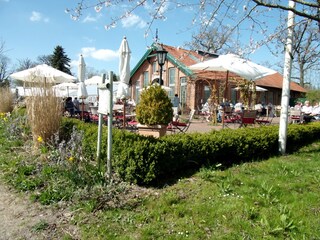 Ausflugsziel Palmengarten-Café Sierhagen/Gutsgärtnerei