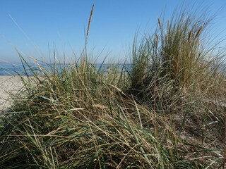 Appartamento per vacanze Scharbeutz Ambiente 16