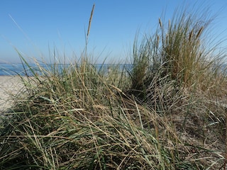 Vakantieappartement Scharbeutz Omgeving 16