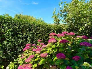 Ferienhaus Dunsum Ausstattung 23