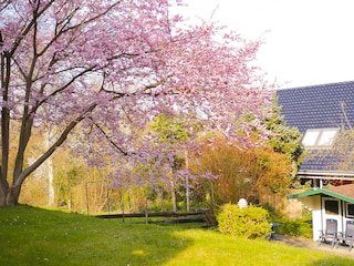 Inkl. Gartennutzung hinter dem Haus