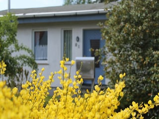 Ferienhaus Zingst Außenaufnahme 4