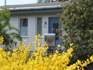 Vakantiehuis Zingst Buitenaudio-opname 3