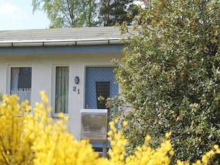 Ferienhaus Zingst Außenaufnahme 9