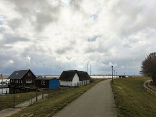 Ferienhaus Zingst Umgebung 36
