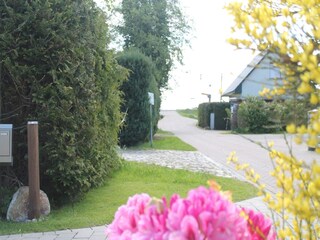 Casa de vacaciones Zingst Entorno 24