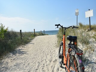 Casa de vacaciones Zingst Entorno 36