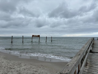 Maison de vacances Zingst Environnement 35