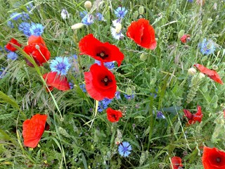 Apartamento Schwasdorf Grabación al aire libre 9