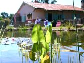 Schwimmteich und Die Westseite des Ferienhauses