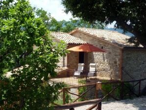 Appartement à Pennabili à la frontière toscane - Montefeltro - image1