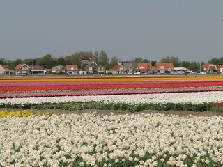 Appartamento per vacanze Egmond aan Zee Ambiente 29