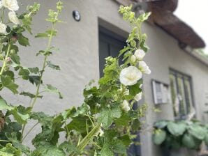 Ferienhaus Ferien im Glück - Tetenbüll - image1