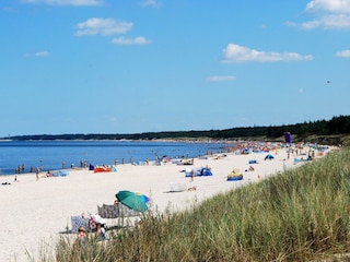 Strand in der Nähe von Dzwirzyno