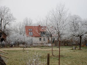 Ferienwohnung am Friedensplatz - Stechlin - image1