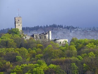 Burgblick