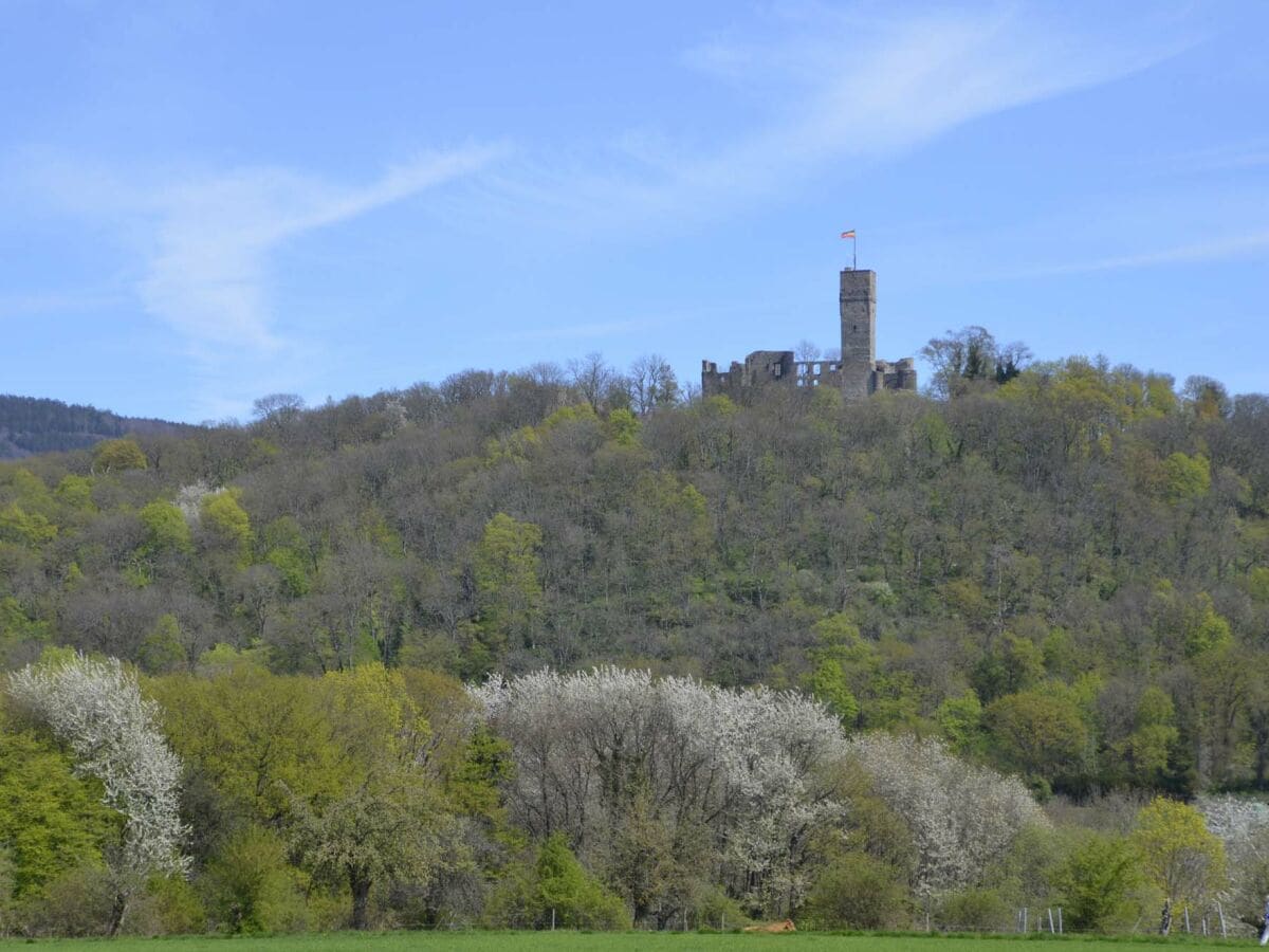 Burg Königstein Frühling