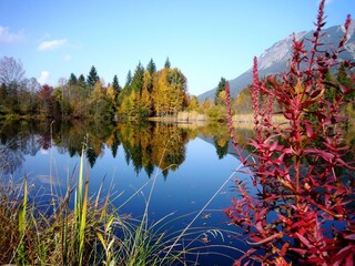 Moorweiher