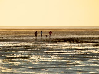 UNESCO- Weltnaturerbe Wattenmeer