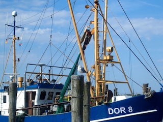 Krabbenkutter im Hafen