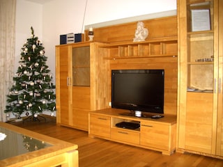 Living area television