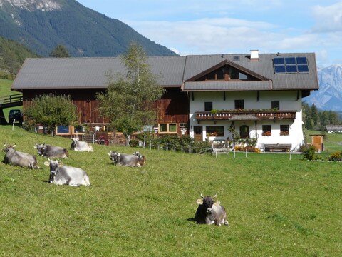 Appartamento per vacanze Musterhof