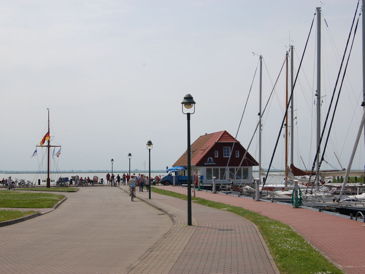 Der Borner Hafen läd zu wunderschönen Schifffahrten ein