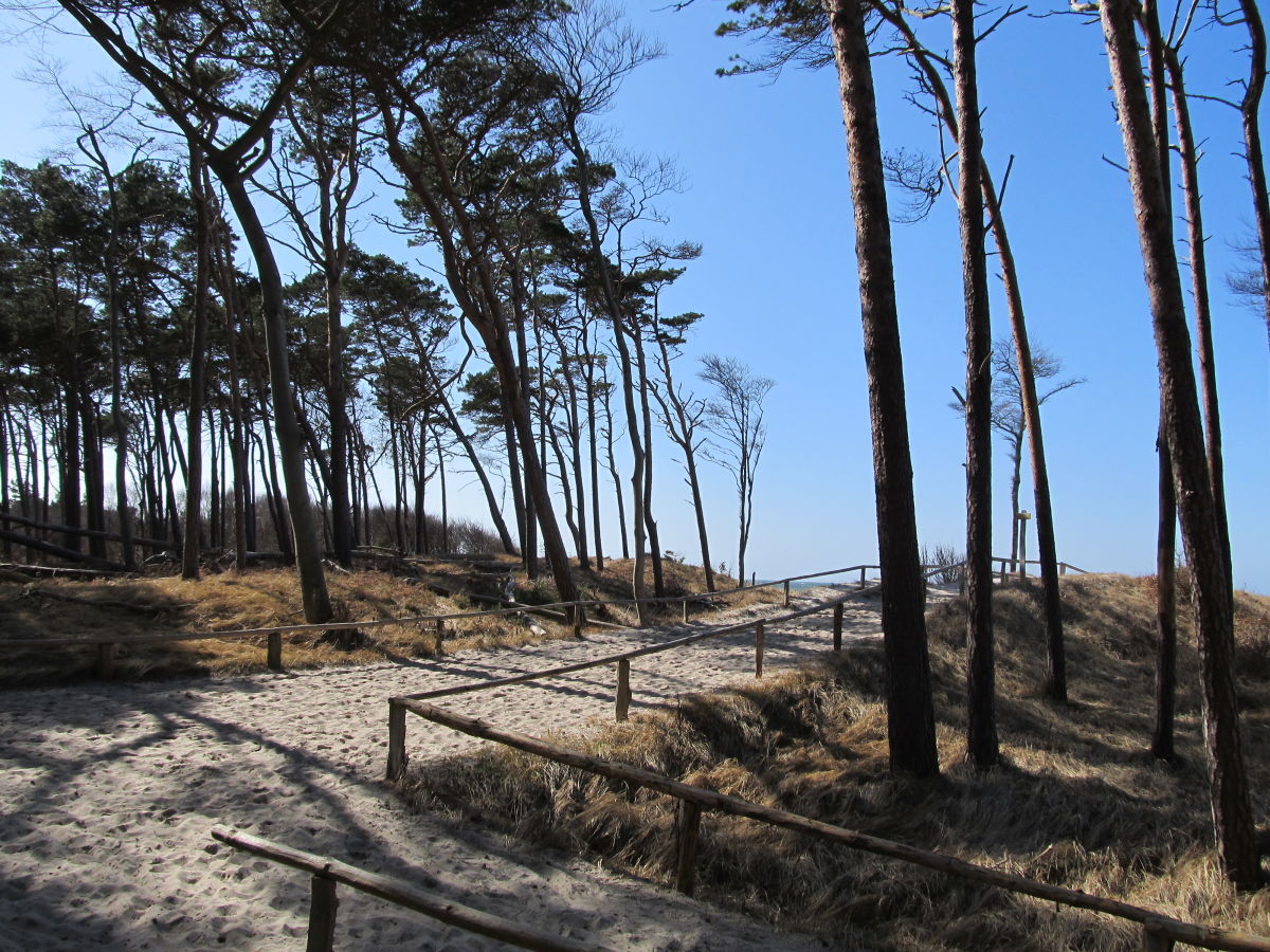 Per Rad zum Weststrand, Naturbelassenheit einatmen