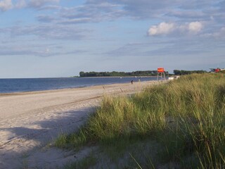 Die DLRG wacht im Sommer am Hasselberger Strand