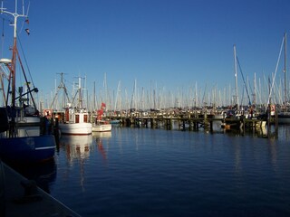 Maasholmer Hafen
