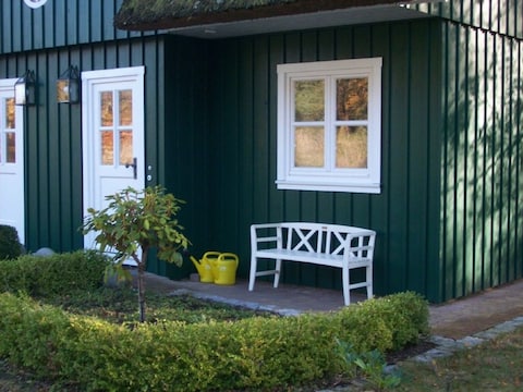 Landhaus Reetdachhaus Hummer Born/Darss Ostsee