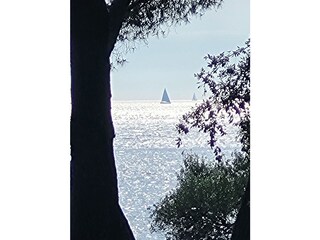 Appartamento per vacanze Rovinj Ambiente 33