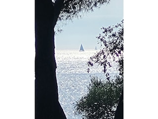 Appartement de vacances Rovinj Environnement 38