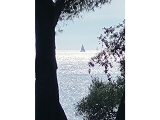 Vakantieappartement Rovinj Omgeving 38
