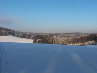 Ferienhaus Stupna Umgebung 54