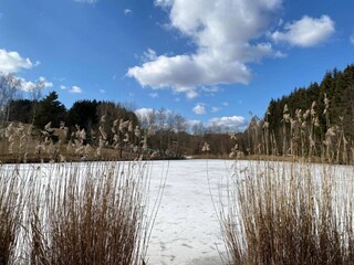 Vakantiehuis Stupna Omgeving 22